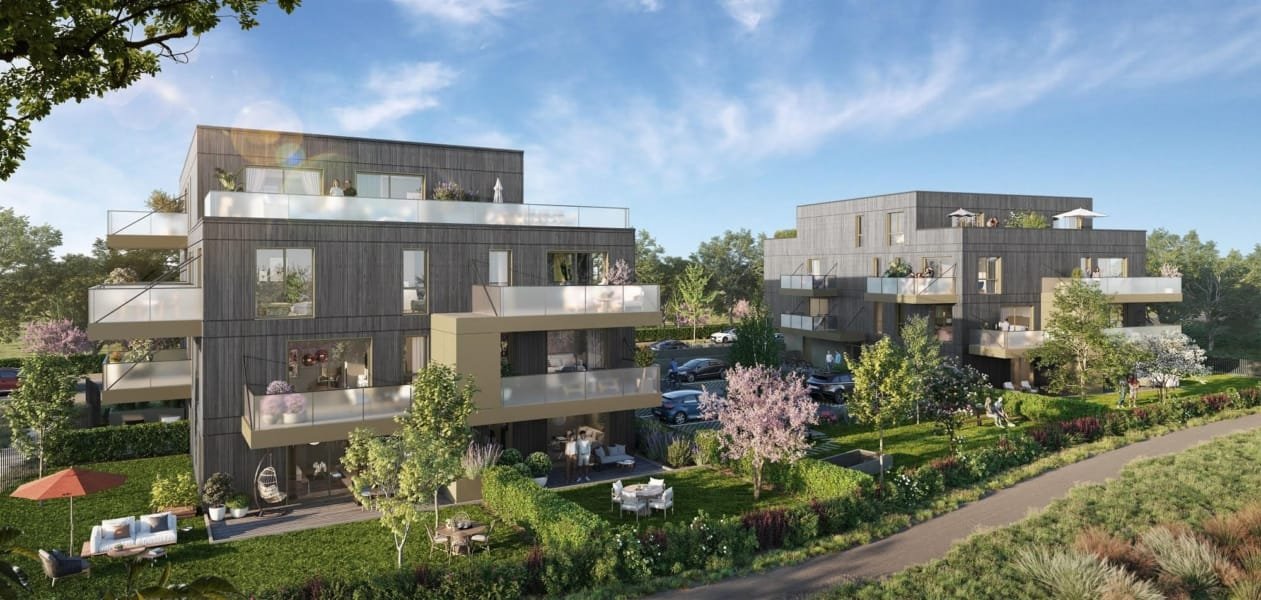 acacia à mittelhausbergen 2