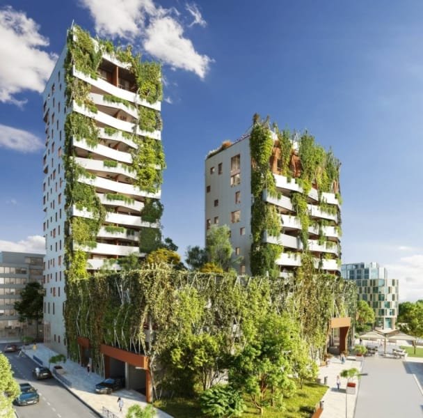 avanscene à strasbourg 1