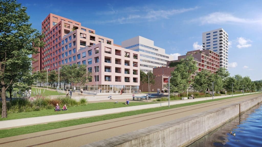 viva starlette à strasbourg 7