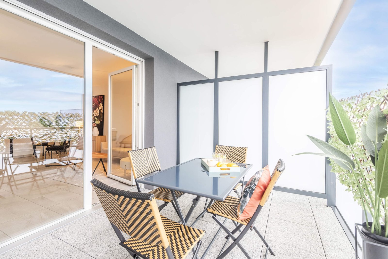 zoey à Souffelweyersheim 3