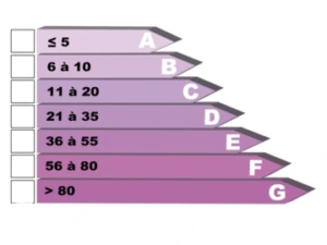 diagnostic immobilier à strasbourg 1