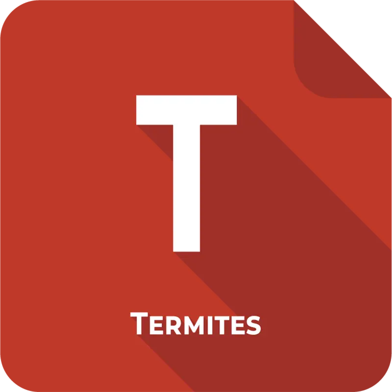 diagnostic termites à strasbourg dpe diagnostic immobilier à strasbourg