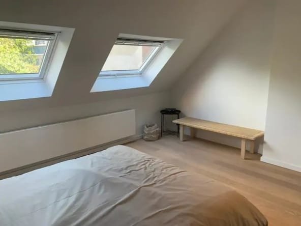 duplex 3 pièces strasbourg contades 4