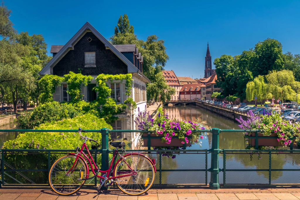 spécialiste immobilier à strasbourg