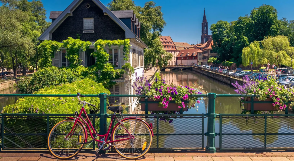 spécialiste immobilier à strasbourg