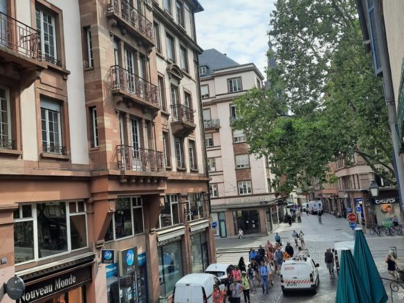 Appartement 4 pièces à vendre à Strasbourg La Petite France Appartement-4-Pieces-Strasbourg-Petite-France-8-1-scaled