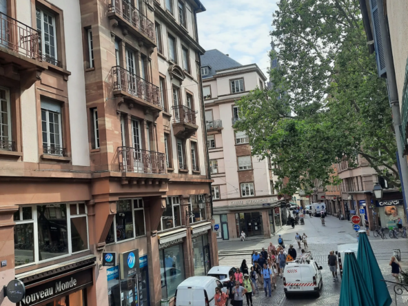 Appartement 4 pièces à vendre à Strasbourg La Petite France Appartement-4-Pieces-Strasbourg-Petite-France-8-1-scaled