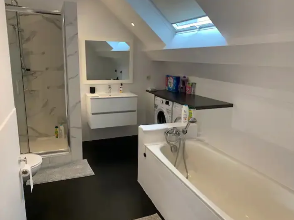 Duplex 3 pièces à vendre à Strasbourg Contades duplex-3-pieces-strasbourg-contades-5