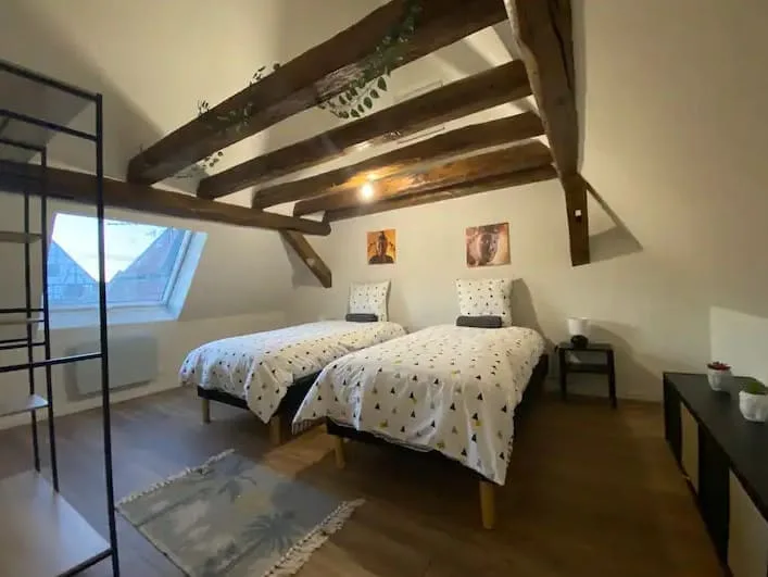 Duplex 3 pièces à vendre à Strasbourg La Krutenau duplex-3-pieces-a-strasbourg-la-krutenau-5