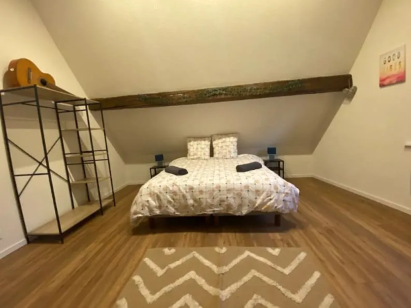 Duplex 3 pièces à vendre à Strasbourg La Krutenau duplex-3-pieces-a-strasbourg-la-krutenau-6