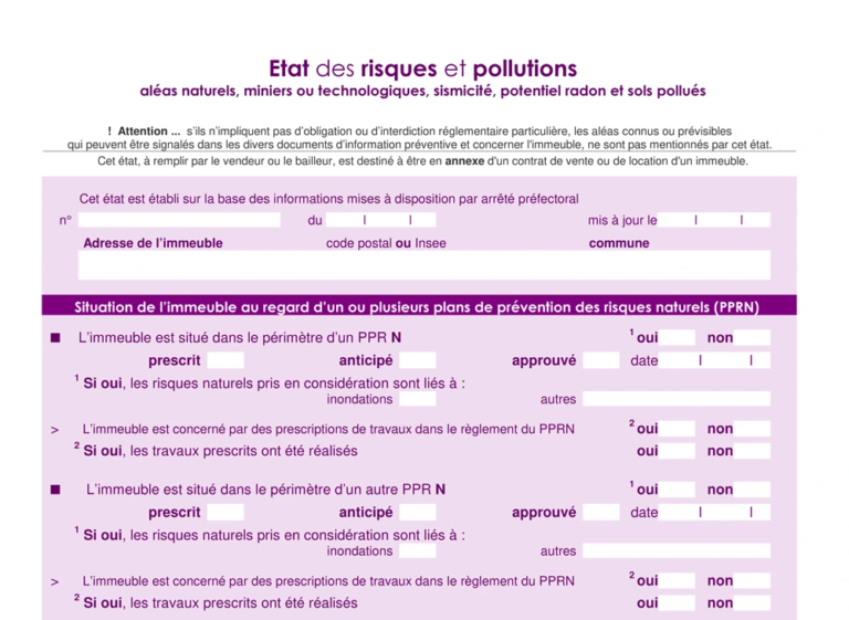 Etats-des-risques-et-des-pollutions-a-Strasbourg-dpe