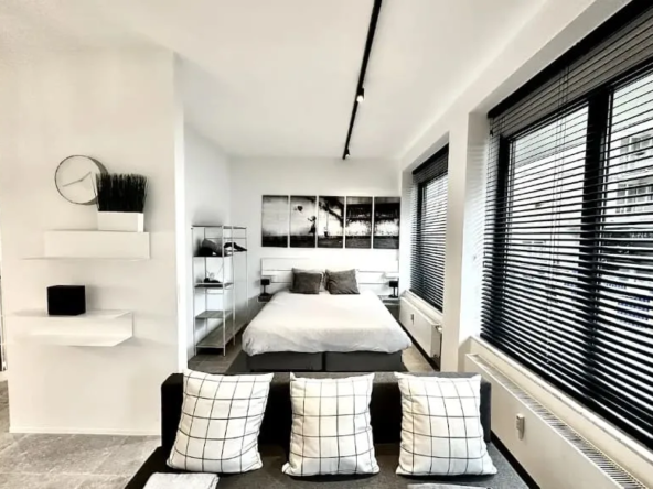 Studio à vendre à Strasbourg Gare studio-a-strasbourg-gare-3