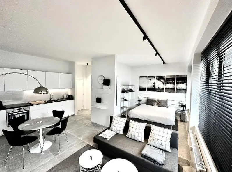 Studio à vendre à Strasbourg Gare studio-a-strasbourg-gare-5