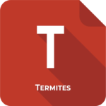 diagnostic-termites-a-strasbourg-dpe-diagnostic-immobilier-a-strasbourg