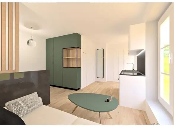 Studio à vendre à Strasbourg La Petite France studio-a-strasbourg-la-petite-france-10